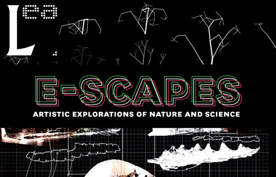 					View Vol. 18 No. 1 (2012): E-Scapes: Artistic Explorations of Nature and Science
				